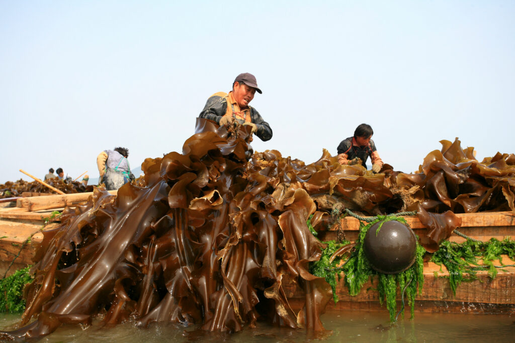 765e37b4a4aff9fd742483a69a2cca9s